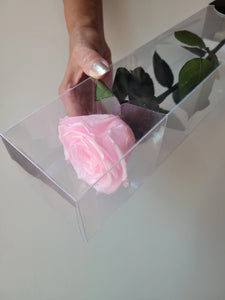 Preserved Rose on Stem in Pink by Rose Amor