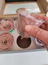 Load image into Gallery viewer, Preserved Rose Six Packs in Blush
