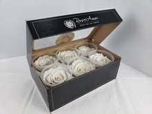 Load image into Gallery viewer, Preserved rose six pack in cream by Rose Ammor
