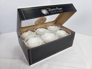Preserved rose six pack in white by Rose Amor
