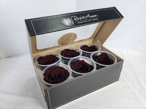 Preserved rose six pack in Bordeaux by Rose Amor 
