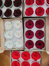 Load image into Gallery viewer, Large Preserved Rose Six Packs in Red
