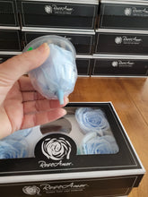 Load image into Gallery viewer, Large Preserved Rose Six Packs by Rose Amor in Light Blue
