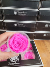 Load image into Gallery viewer, Large Preserved Rose Six Pack in Bright Pink
