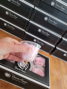 Large Preserved Rose Six Packs in Light Pink