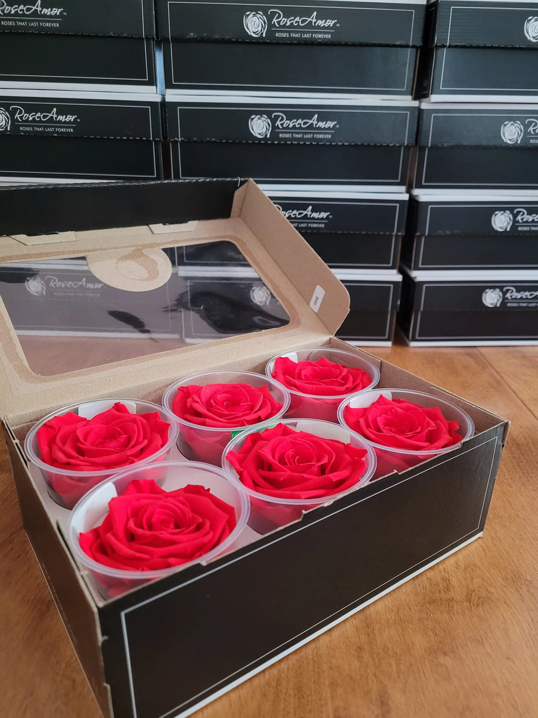 noscript-image-Large Preserved Rose Six Packs in Orange Red