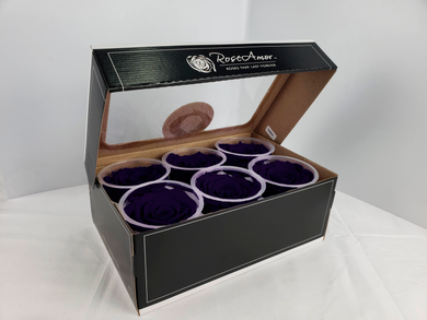 Preserved Rose Six Packs in Deep Purple