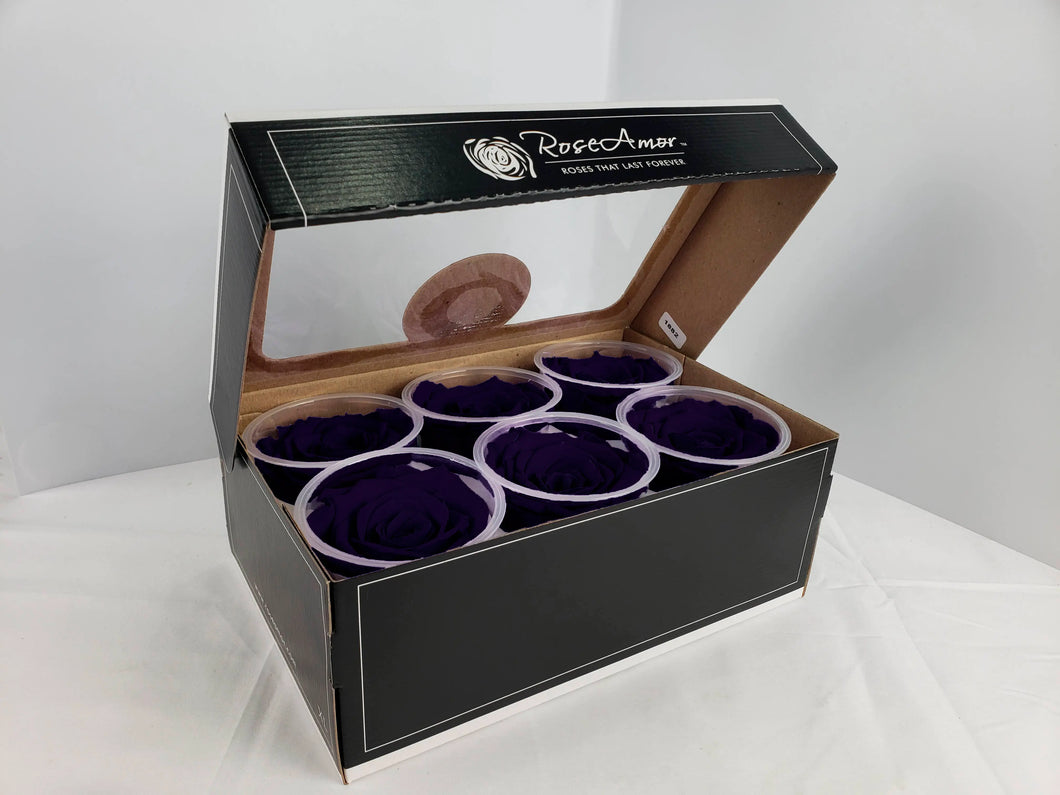 noscript-image-Preserved Rose Six Packs in Deep Purple