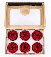 Preserved rose six pack in red