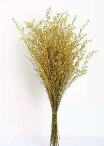 Preserved caspia flower bunch in gold