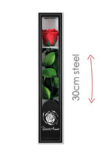 Load image into Gallery viewer, Packaging for stemmed preserved rose
