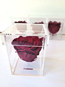Single preserved rose in acrylic box: Wholesale pricing