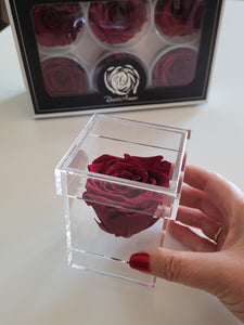 Single preserved rose in acrylic box: Wholesale pricing