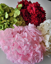 Load image into Gallery viewer, Preserved Hydrangea in four colors by Rose Amor

