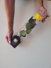 Load image into Gallery viewer, Preserved Rose on Stem in Yellow by Rose Amor

