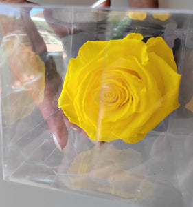 Preserved Rose on Stem in Yellow by Rose Amor