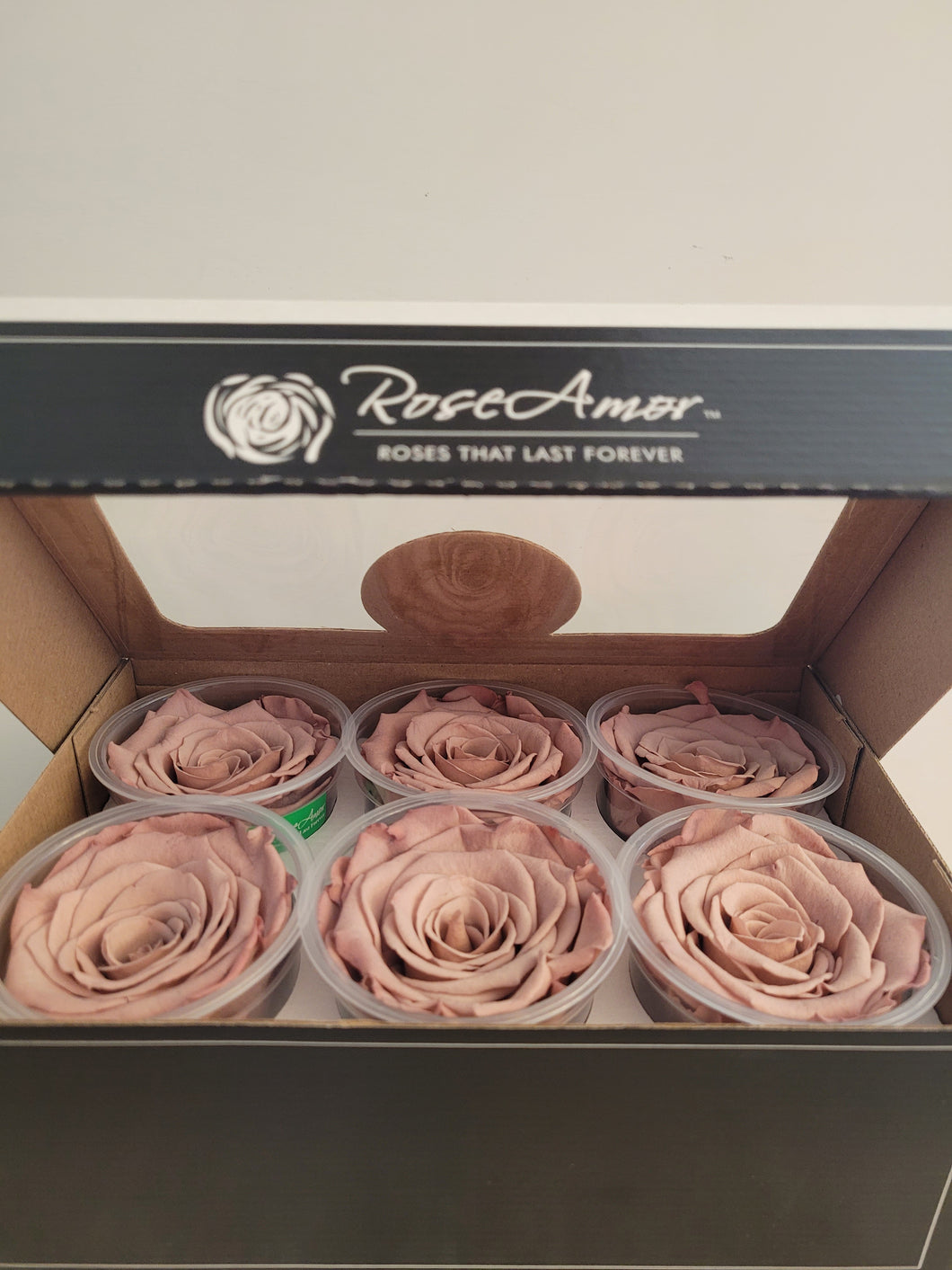 noscript-image-Rose Amor Large Preserved Rose Six Packs in Blush