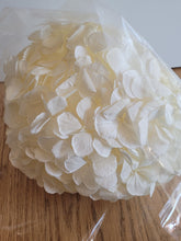 Load image into Gallery viewer, Preserved Hydrangea in White by Rose Amor

