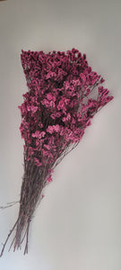 Preserved Limonium Flower Bunches Bulk case pricing - Free Shipping