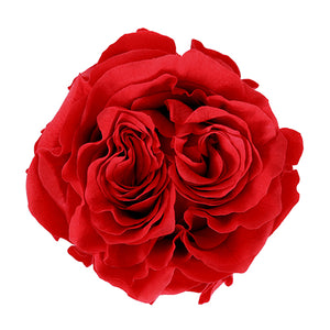 Queries Ser Mi Novia Roses! – bloomqueenlv