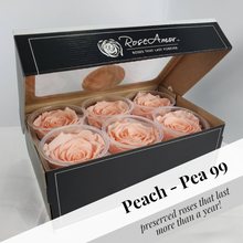 Load image into Gallery viewer, Bulk case pricing on 20-large preserved rose six packs (120 roses).  Biggest savings!
