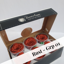 Load image into Gallery viewer, Bulk case pricing on 7-Large size preserved rose six packs (42 rose heads) by Rose Amor, plus free shipping
