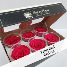 Load image into Gallery viewer, Bulk case pricing on 7-Large size preserved rose six packs (42 rose heads) by Rose Amor, plus free shipping
