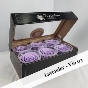 Bulk case pricing on 7-Large size preserved rose six packs (42 rose heads) by Rose Amor, plus free shipping