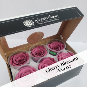 Bulk case pricing on 7-Large size preserved rose six packs (42 rose heads) by Rose Amor, plus free shipping