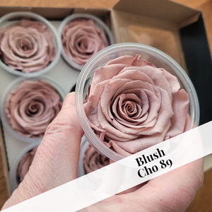 Bulk case pricing on 20-large preserved rose six packs (120 roses).  Biggest savings!