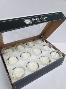 Small Preserved Roses bulk discount pricing Case