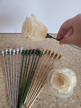 Load image into Gallery viewer, preserved rose head attached to plastic rose stem
