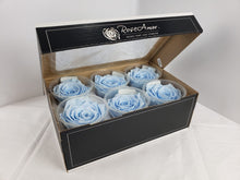Load image into Gallery viewer, Preserved rose six pack in light blue by Rose Amor
