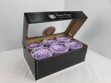 Rose Amor Large Preserved Rose Six Packs in Lavender