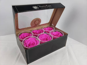 preserved rose six pack in bright pink by Rose Amor