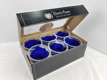 Load image into Gallery viewer, Preserved rose six pack in dark blue by Rose Amor
