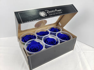 Preserved rose six pack in dark blue by Rose Amor