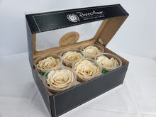 Load image into Gallery viewer, Preserved rose six pack in champagne by rose amor
