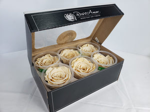 Preserved rose six pack in champagne by rose amor