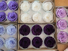 Load image into Gallery viewer, Rose Amor Large Preserved Rose Six Packs in Lavender
