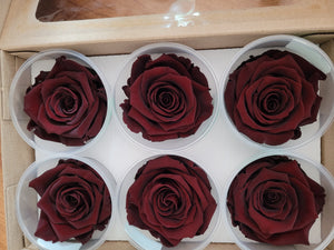 Large Preserved Rose Six Pack in Cognac by Rose amor