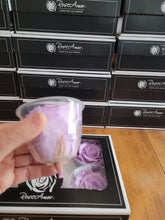 Load image into Gallery viewer, Rose Amor Large Preserved Rose Six Packs in Lavender
