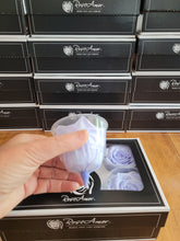 Load image into Gallery viewer, Rose Amor Large Preserved Rose Six Packs in Light Periwinkle
