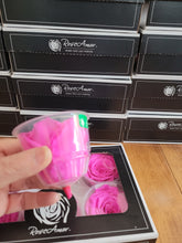 Load image into Gallery viewer, Large Preserved Rose Six Pack in Bright Pink
