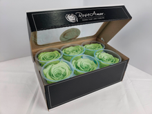Load image into Gallery viewer, Large Preserved Rose Six Packs in Light Green by Rose Amor
