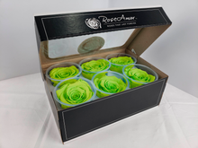 Load image into Gallery viewer, Large Preserved Rose Six Packs in Chartreuse

