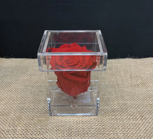 Preserved red rose in single acrylic rose box