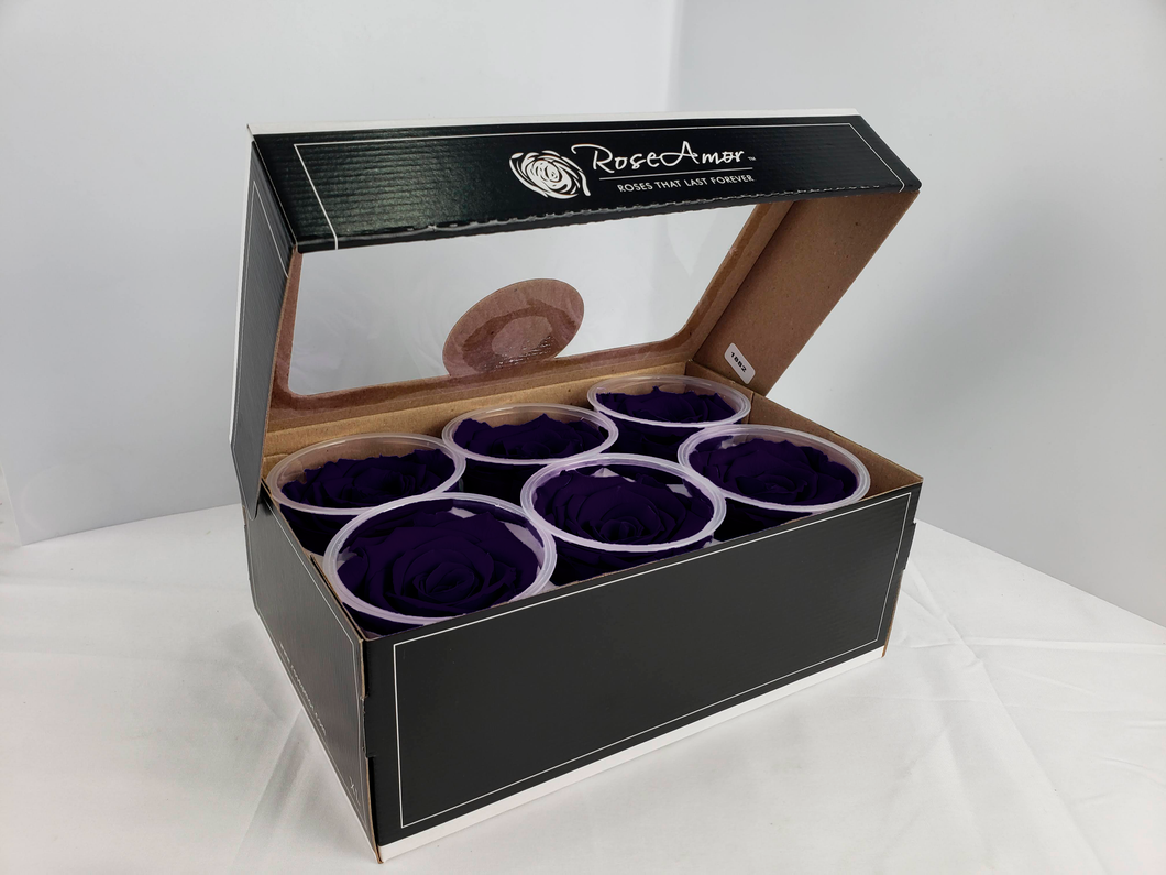 noscript-image-Rose Amor Large Preserved Rose Six Packs in Deep Purple