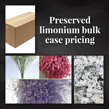 Load image into Gallery viewer, Preserved Limonium Flower Bunches Bulk case pricing - Free Shipping
