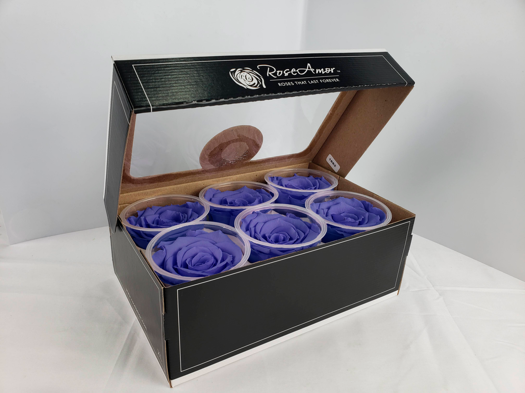 noscript-image-Rose Amor Large Preserved Rose Six Packs in Dark Periwinkle
